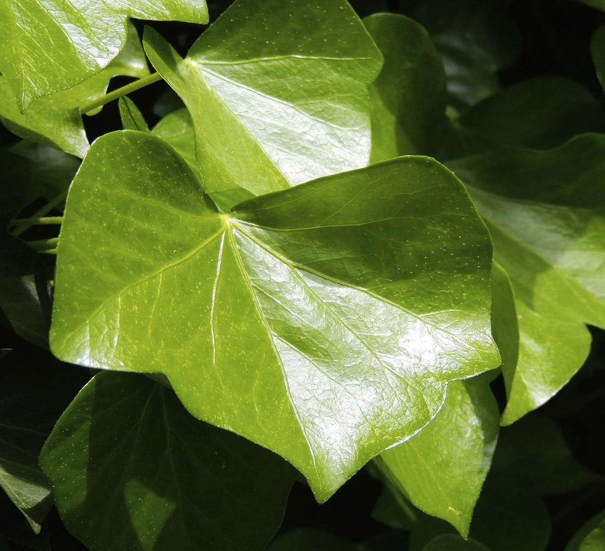 Psykolog i Gilleleje